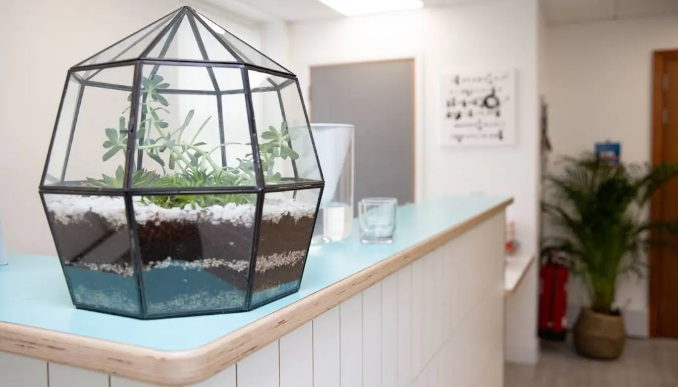 The reception at Kings Hill Dental